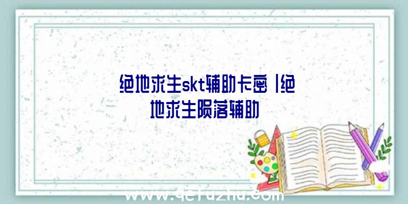 「绝地求生skt辅助卡密」|绝地求生陨落辅助